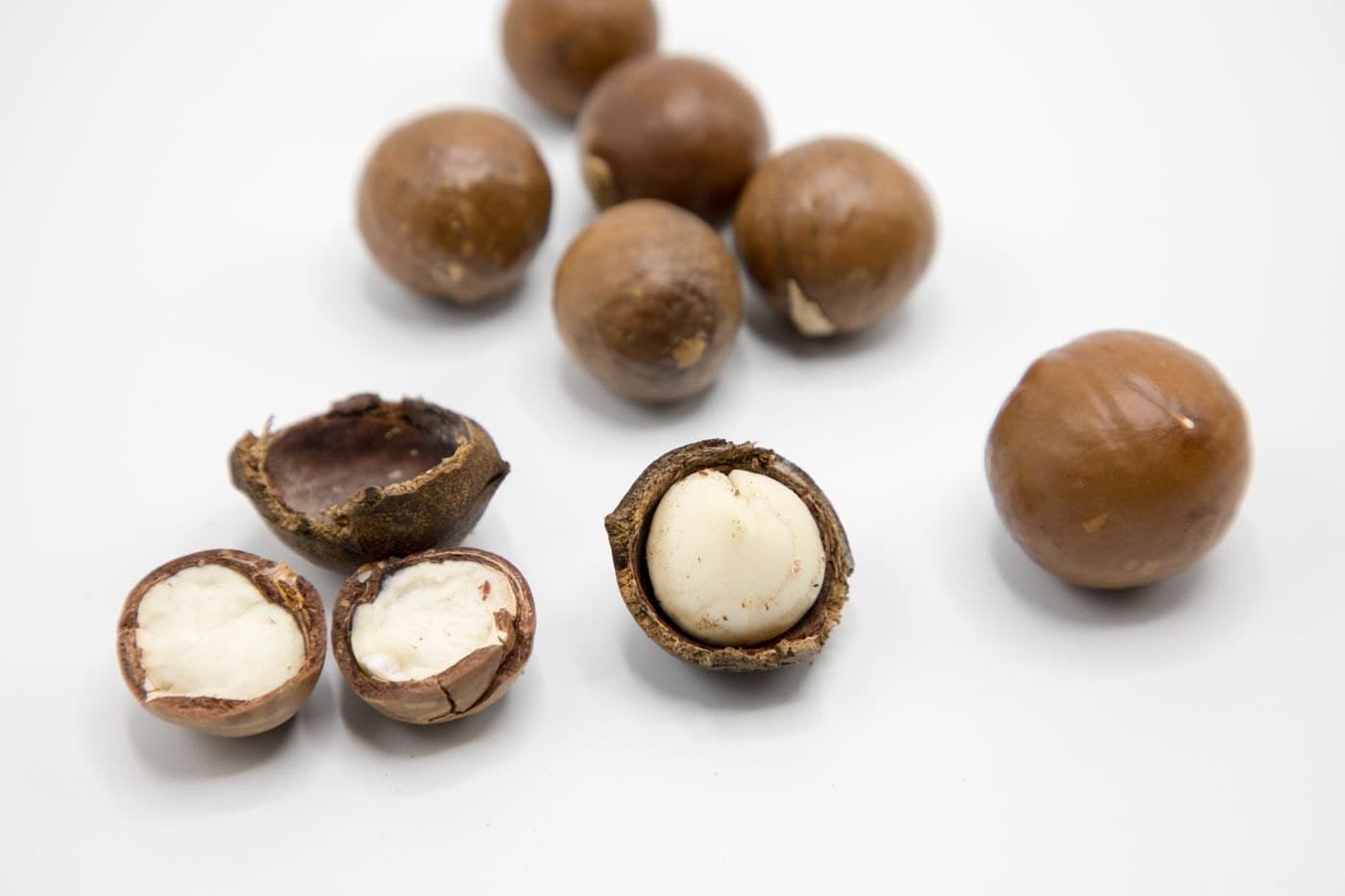 In-Shell Macadamias