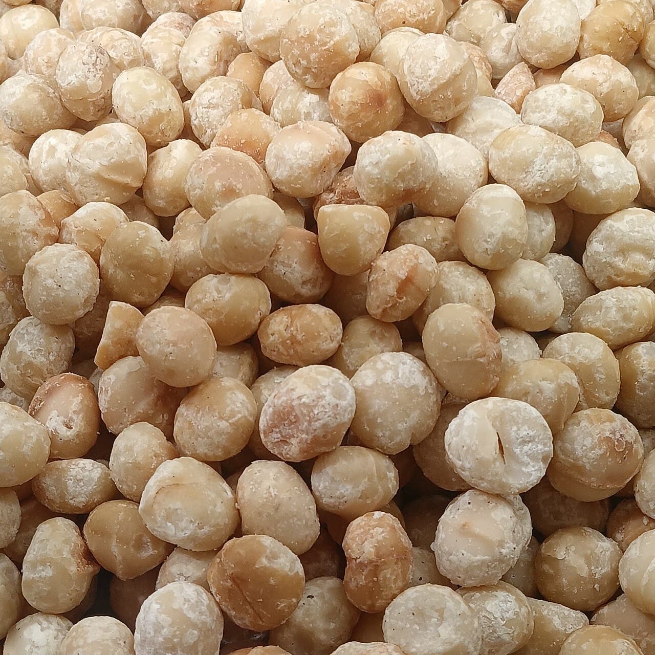 Close-up of raw macadamia kernels
