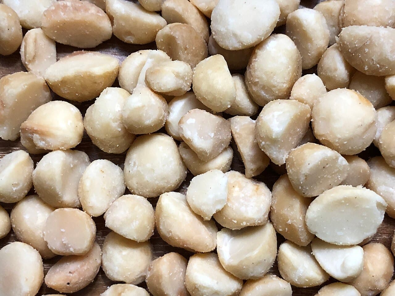 Roasted and salted macadamias